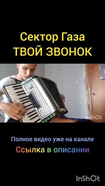 Сектор Газа - Твой звонок, на аккордеоне #shorts смотреть онлайн