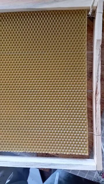 наващивание рамки#shorts #medhoney #med-honey.ru #med-honey.by смотреть онлайн