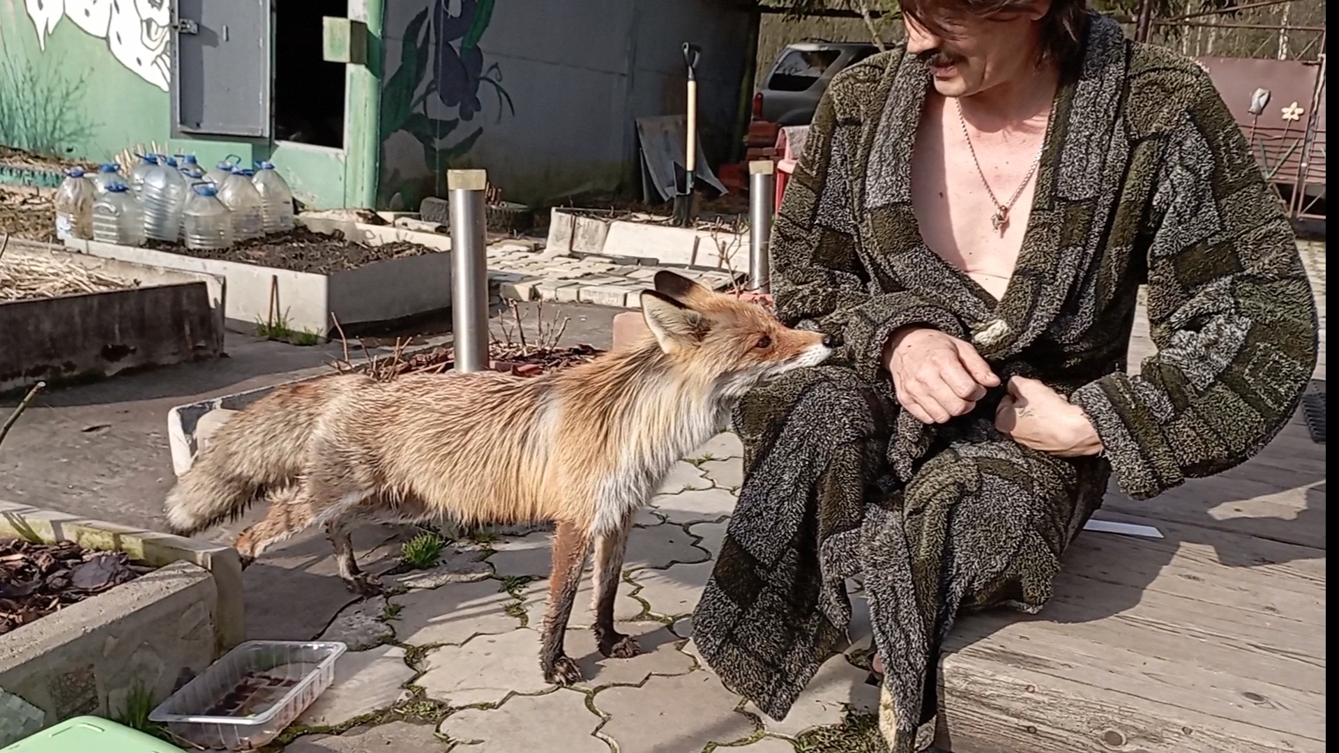 (997) Лиса приходит в гости. Апрель 2025 смотреть онлайн