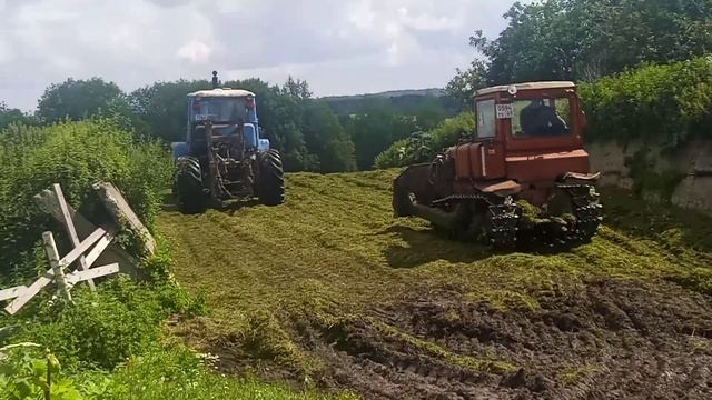 Трамбуют силос на силосной яме!! Работаем!!!