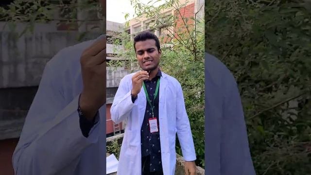 Vitex Negundo || Nishinda || Medicinal Plant || Clinical Uses смотреть онлайн