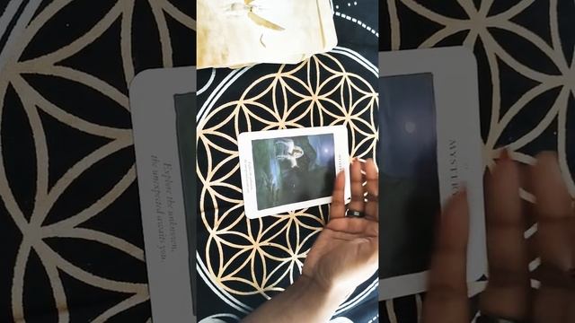 💰💰*ENGLISH*CAREER GUIDANCE!#shorts#tarot#astrology#tarotreader#tarotreading#freetarotreadings смотреть онлайн