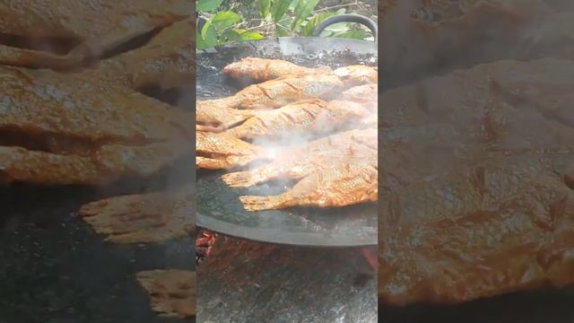 Big Size Fish Cooking 🐠🐠🐠🐠🐠🐠🐠🐠🐠🐠🐠🐠🐠🐠🐠🐠🐠🐠🐠🐠🐠🐠🐠