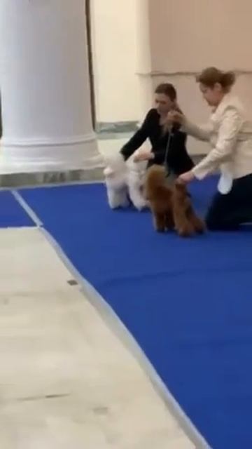 0 02 0a 28e9418ff393d7929ac6fedcd505d0942fcb8f8a7a08c7e4e847ab0bf3de99e4 3d54cf0b смотреть онлайн