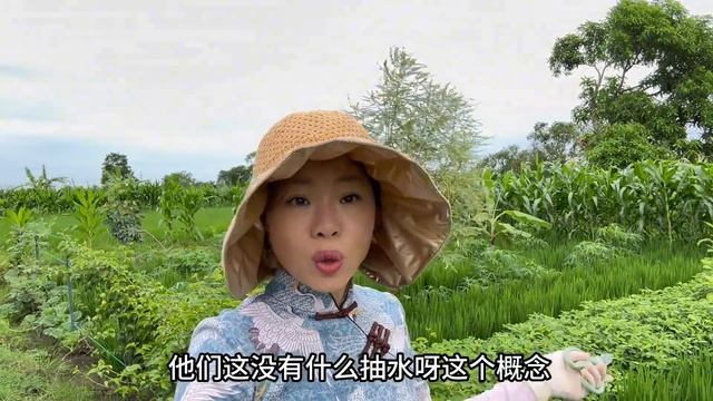 乡下田间真是太美好了，去一趟神清气爽，收获满满