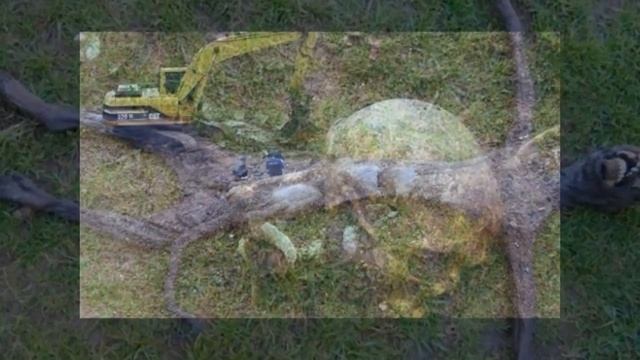 Необычные находки археологов смотреть онлайн