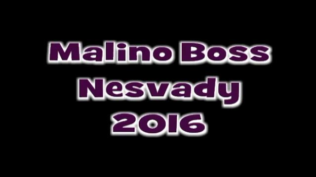 Malino Boss Nesvady 2016 - CD 2 - Skladba 4 смотреть онлайн
