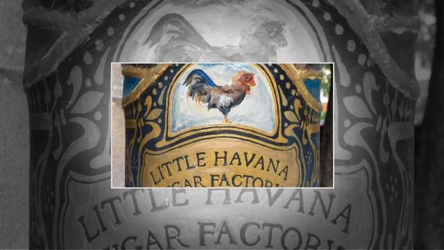 Little Havana смотреть онлайн