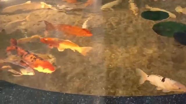 24 марта 2024 г. смотреть онлайн