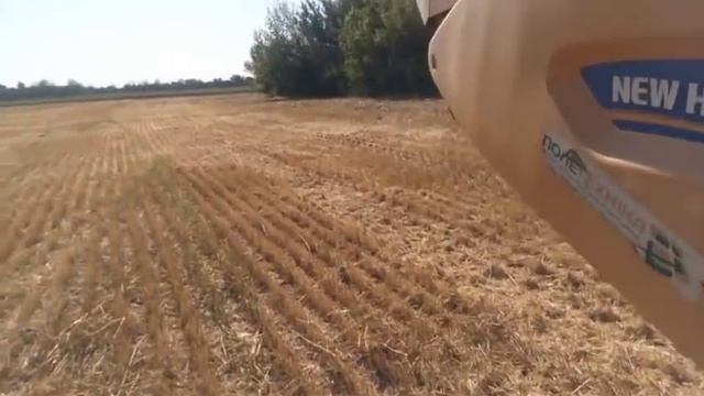 19.06.2018. Первый день уборки зерновых . смотреть онлайн