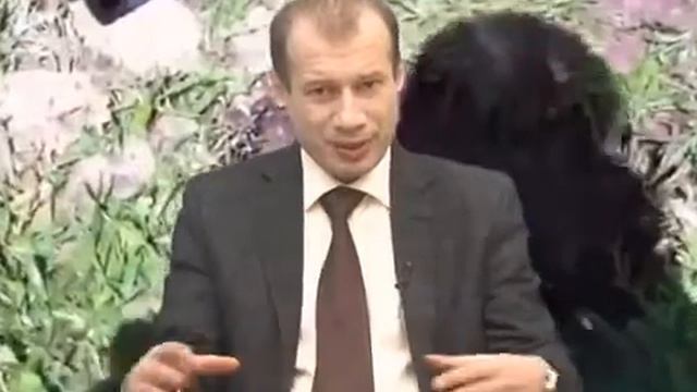 Заур Газиев. Притчи. Ослик и колодец смотреть онлайн