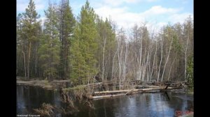 20 апреля - Акулинин день. Поверья и народные приметы