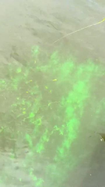 Жидкий Дым! От тм Corona Fishing