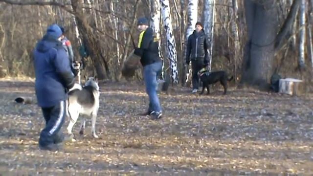 germes ZKC 112018 смотреть онлайн