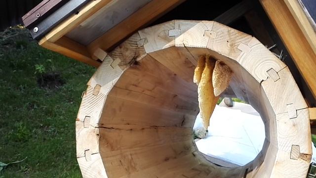 Колода подготовленная для заселения пчелами. 18.06.2020 Рабочие материалы Часть 1(3) смотреть онлайн