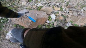 Пирочинский карьер. Поиск окаменелостей (клип)