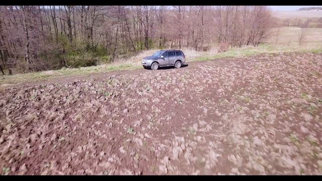 Черный крот