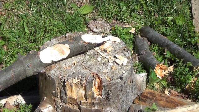 Buck Compadre Chopping Froe Machete Review смотреть онлайн
