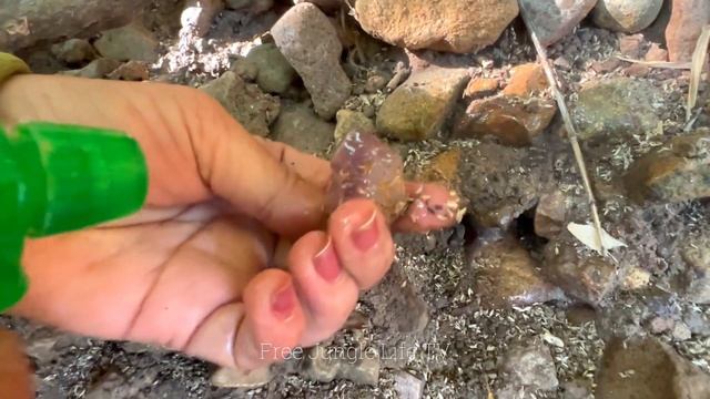 Wow...!! Many Citrine, Amethyst, Smoky Quartz Hides Under The Rock смотреть онлайн