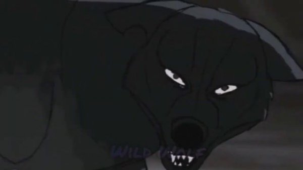 Волк/Wolf [Edit]