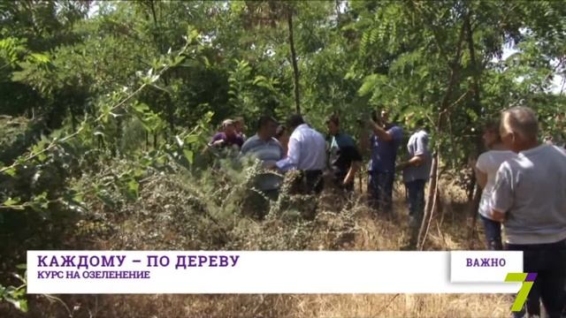Каждому - по дереву: курс на озеленение смотреть онлайн