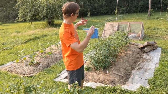 July Garden Update | Establishing A Garden From Scratch | Bee & Bear Homestead
