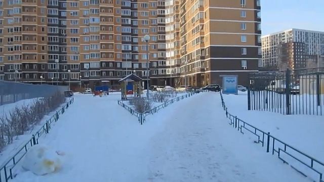 Новое Павлино - внутри дворовая территория не убирается месяц