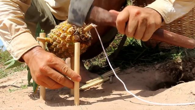 DIY Creative Make From Pineapple Work 100% смотреть онлайн