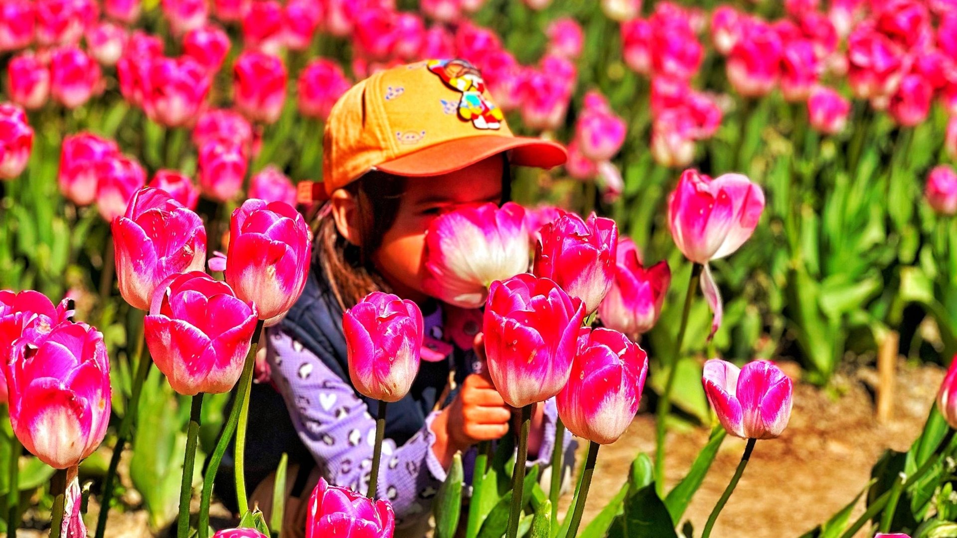 Крым 2025: ПАРАД ТЮЛЬПАНОВ, столовая — ОБАЛДЕЛИ от цен. Никитский Ботанический Сад, стоит ли ехать? смотреть онлайн