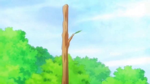 Timo Timo Funk (AMV)