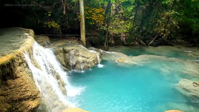 Waterfall & Jungle Sounds Relaxing Tropical Rainforest Nature Video Singing Birds Ambience