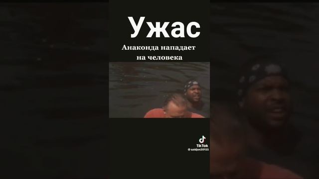 Ужас Анаконда нападает на Человека смотреть онлайн