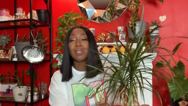 Houseplants Then & Now