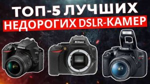 ТОП-5: Лучшие недорогие зеркальные фотоаппараты 2025