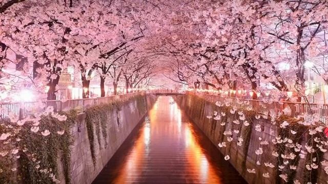 Омар Хаям 💓💓💓 Прекрасные слова