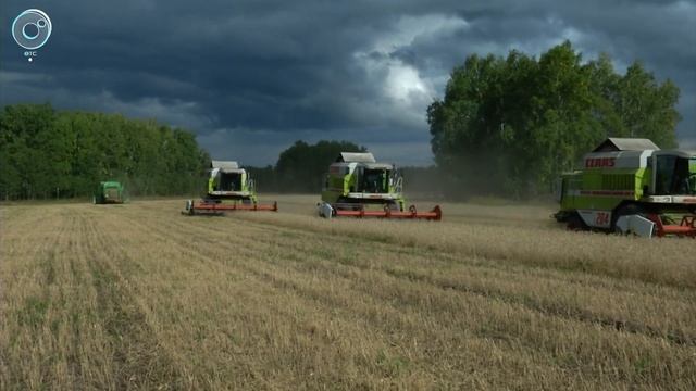 165 миллионов рублей получат аграрии Новосибирской области на проведение уборочной кампании