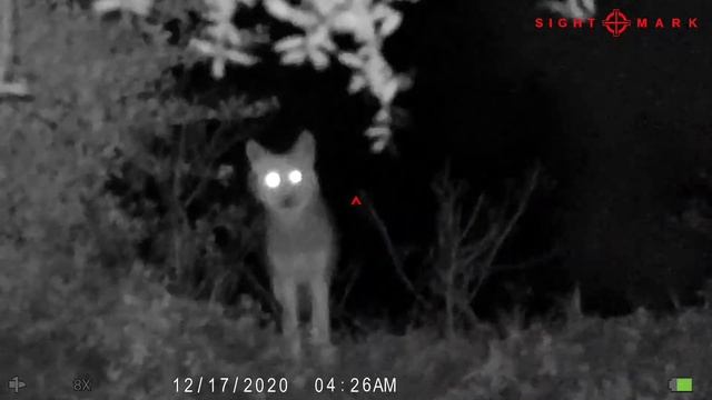 Sightmark wraith hd 4-32x50 смотреть онлайн