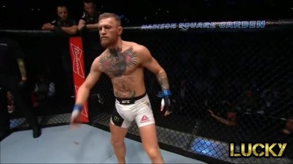 Стиль походки Conor McGregor