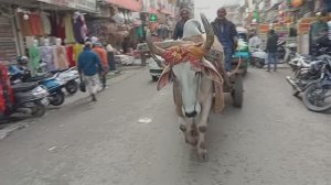 Наше путешествие по Индии.mp4