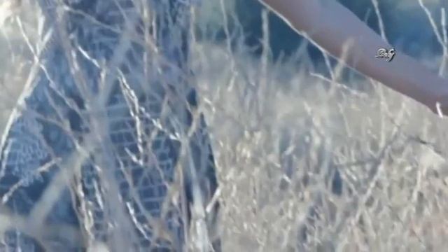 ❤ Sarit Hadad - Rak Sheteda Et Ha Emet ! ❤ + Превод смотреть онлайн