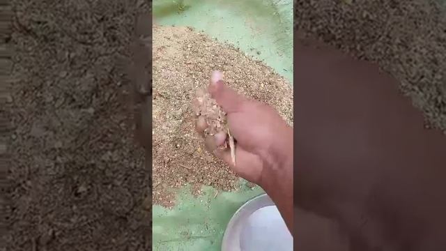 pellet machine/home made pellet machine/bakriyan pakistan ki смотреть онлайн