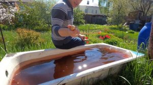 КВОК ПРОГОННЫЙ или  КИСТЕВОЙ \ Уроки над ошибками \#квок #сом #сомнаквок