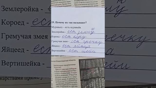 VID_20250416_203055_454.mp4 смотреть онлайн