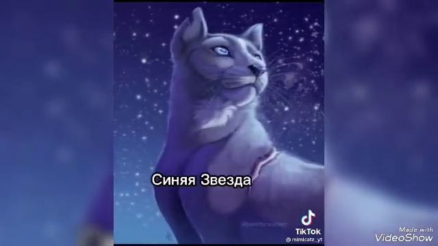 Подборка видео из тиктока Коты воители #котывоители смотреть онлайн