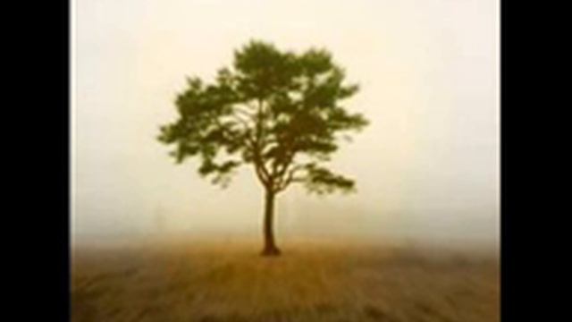 Autumn - Osen Vechna