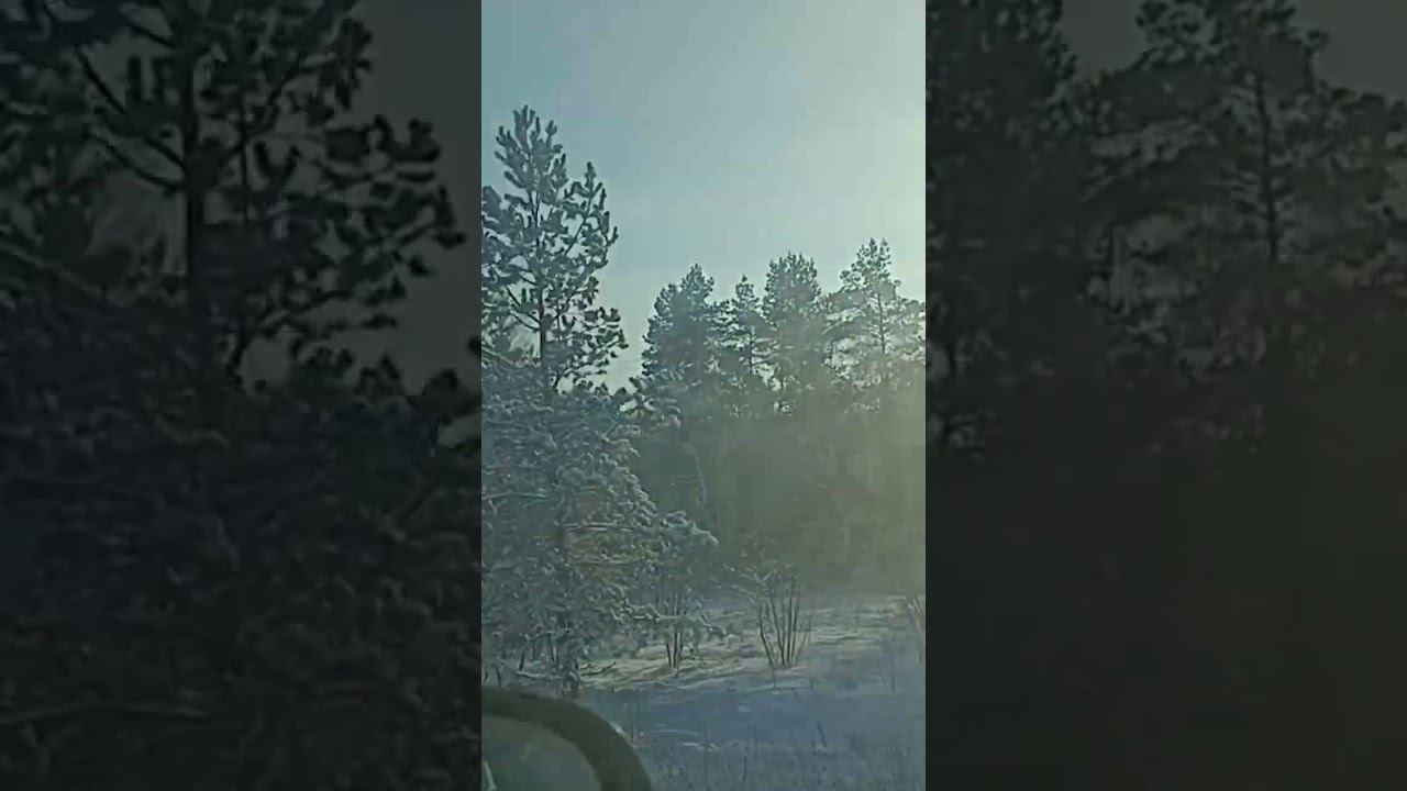 Зима, зима красавица ❄ смотреть онлайн