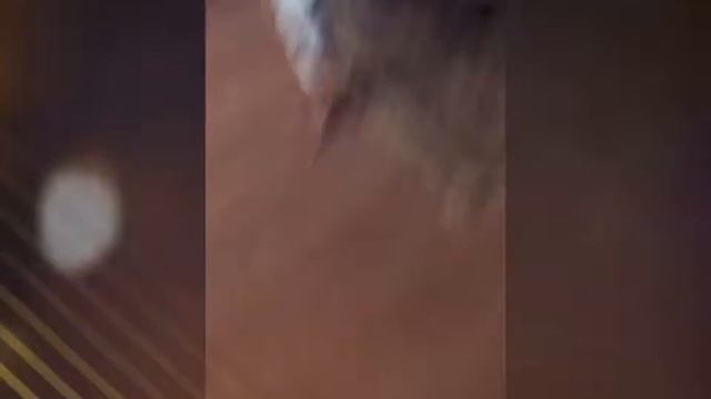 я настоящий гелик % смотреть онлайн