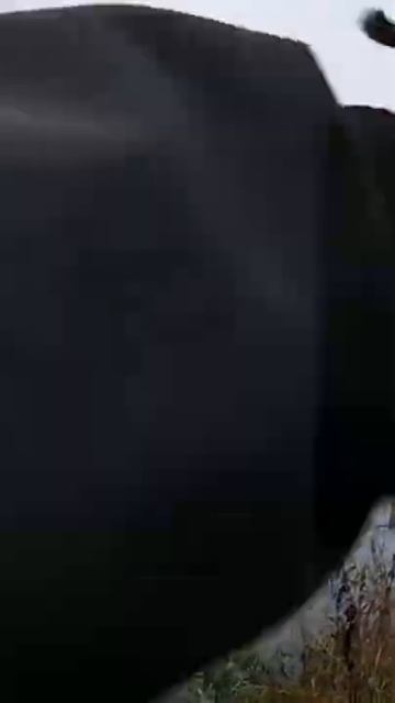 Ловля Щуки на крупную резину. Малые реки. Рыбалка. #shorts