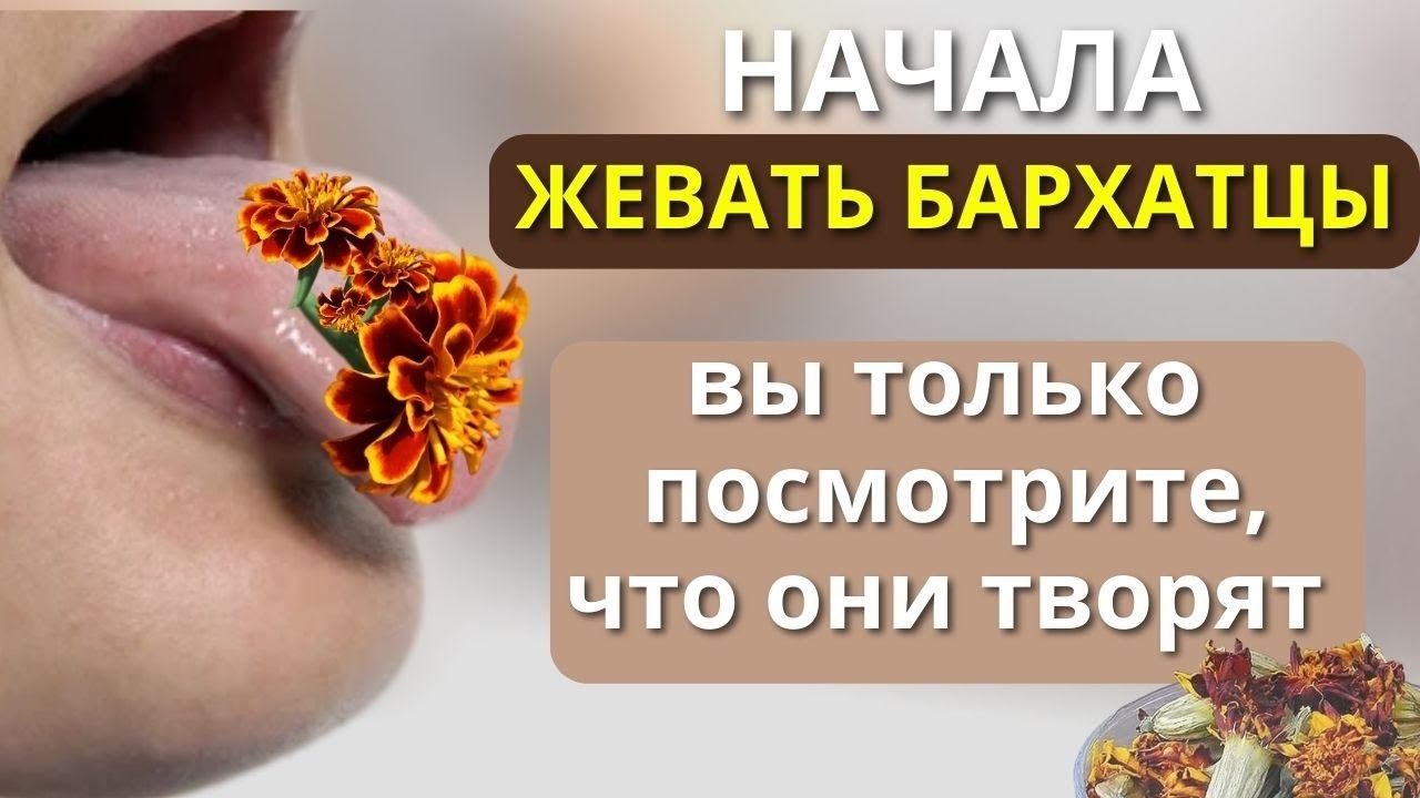 В Аптеке этого не Расскажут. Что творят Бархатцы с организмом смотреть онлайн