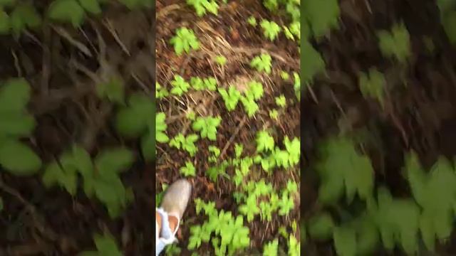 Дом художников 2часть смотреть онлайн